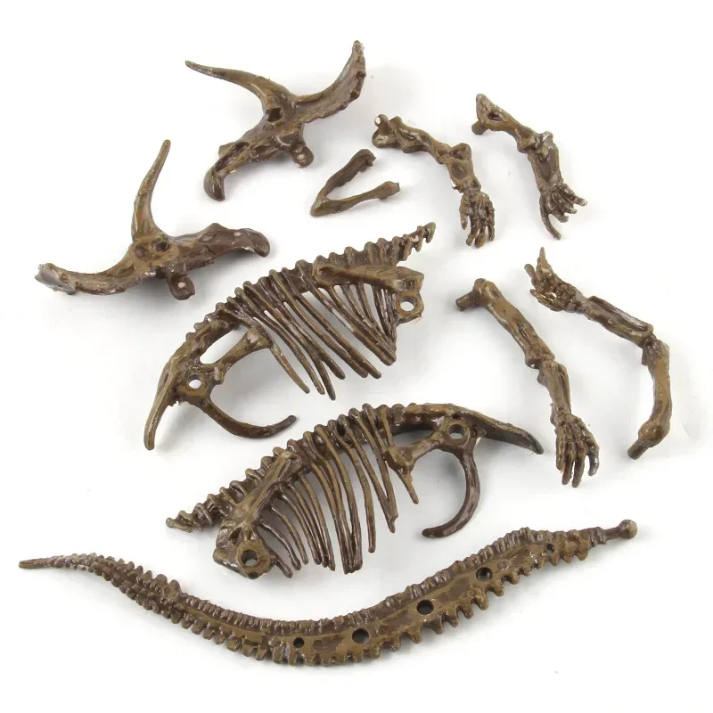Dinosaurier-Ausgrabung, Fossil – Model Kit Excavator Bewertung und Preis