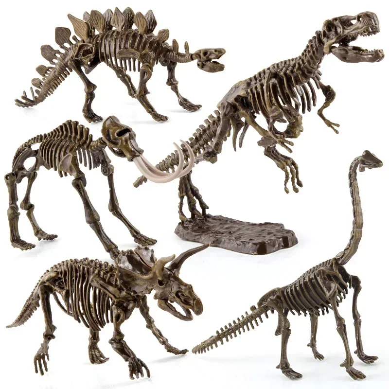 Dinosaurier-Ausgrabung, Fossil – Model Kit Excavator Bewertung und Preis